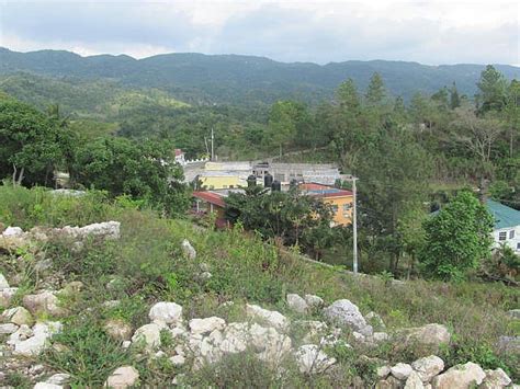 residential lot for sale in mile gully manchester jamaica