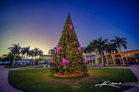 downtown palm beach gardens christmas tree hdr photography  captain