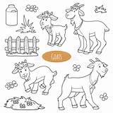 Landbouwbedrijfdieren Voorwerpen Reeks Goats Giraffen Colorless sketch template