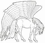 Adult Pegasus Sheets Lineart sketch template