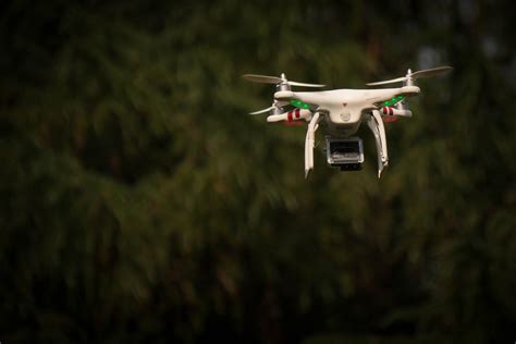drones  uncertainty  wildlife conservation