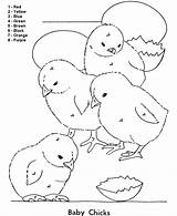 Number Color Coloring Pages Easter Easy Numbers Baby Kids Chicks Educational Colouring Colour Activity Printables Activities Follow Clipart Popular Print sketch template