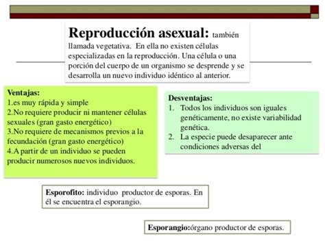 Cuadros Comparativos Entre Reproducción Sexual Y Asexual Cuadro