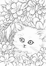 Coloring Pages Flowers Kitten Cat Colouring Kittens Sato Flower Mitzi Wiuff Adult Stress Anti Mandala Detailed Kleurplaat Volwassenen Printable sketch template