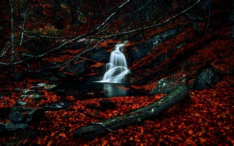 waterfalls wallpaper  autumn dark forest foliage woods red