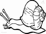 Snail Escargot Colorat Desene Melc Hugo Caracoles Lescargot Planse Dauphin Teod Oh Melcul sketch template