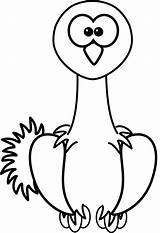 Ostrich Clipart Cartoon Drawing Coloring Clip Face Line Cliparts Coral Drawings Pages Ostriches Google Search Peacock Simple Reef Print Color sketch template