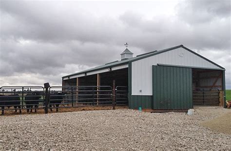 cattle pole barn designs dekalb il beef cattle