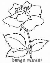 Bunga Mewarnai Mawar Sketsa Alamendah Putih Mewarna Kumpulan Diwarnai Tk Ros Tanaman Matahari Wajib Indonesia Tulip Mudah Sederhana Fantastis Dari sketch template