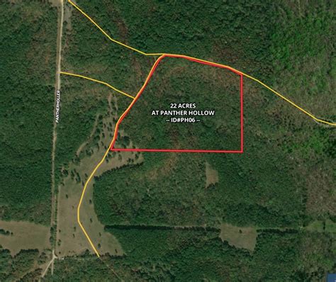22 Acres At Panther Hollow With Large Timber And Pretty Meadow Id