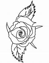 Rose Coloring Red Pages Compass Things Marvellous Petals Getdrawings Color Two Roses Getcolorings Books sketch template