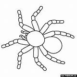 Coloring Tarantula Pages Pets Thecolor Drawing Color Kids Zentangle Gif Halloween Pet sketch template