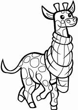 Giraffe Coloriage Giraffa Girafe Foulard Avec Sciarpa Scribblefun Divertente Wears sketch template