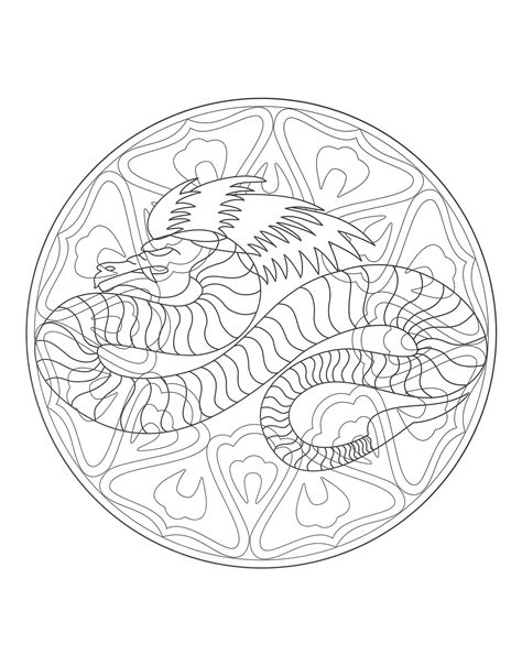 mandala dragon  mandalas adult coloring pages