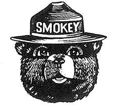 smokey sketch  smokey  bears bear coloring pages bear tattoo