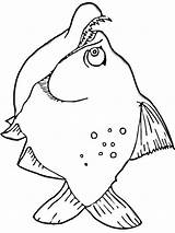 Coloring Pages Piranha Piranhas Library Clipart Fish Designlooter Color Popular Printable Recommended sketch template