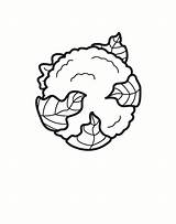 Coloring Cauliflower Blumenkohl Malvorlage Chou Bloemkool Coliflor Fleur Kleurplaat Coloriage Bilde Fargelegge Para Dibujo Colorear Ausmalbild Ausmalbilder Zum Afbeelding Grote sketch template