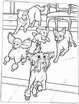 Coloring Pages Dogs Colouring Dog Running Hotel Color Kids Friday Printable Adult Book Print Movie Cute Sheets Kindergarten Hellokids Children sketch template