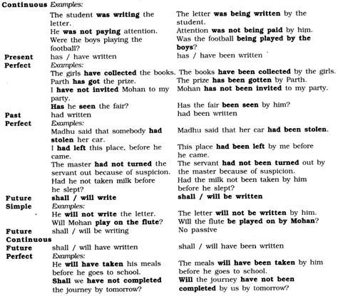 exercises  adjectives  class  cbse worksheet student