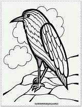 Coloring Realistic Bird Birds sketch template