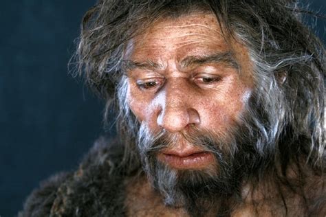 neanderthals why us and not them wsj