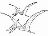 Pterodactyl Pages Colouring sketch template