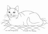 Tuxedo Cat Coloring 261px 44kb Drawings sketch template