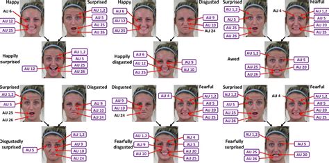 Compound Facial Expressions Of Emotion Pnas