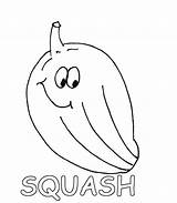 Squash Coloring Getcolorings Pages sketch template