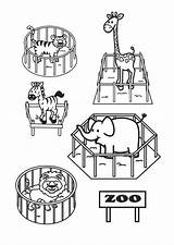Coloring Zoo Large sketch template