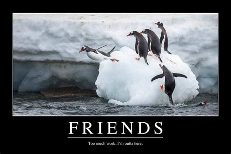friends   work funny demotivational cool wall decor art print poster  amazoncouk