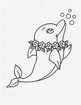 Coloring Dolphin Pages Cute Printable Adult Dolphins Drawing Kids Print Sheets Jump Colour Coloursdrawingwallpaper Es sketch template