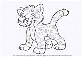 Jaguar Go Diego Baby Draw Step Drawing Drawingtutorials101 Cartoon Previous Next Tutorials sketch template