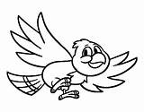 Volando Vola Colorare Uccello Pintar Ocell Loro Disegno Aves Dibuix Volant Uccelli Pájaro Pajaro Cdn3 sketch template
