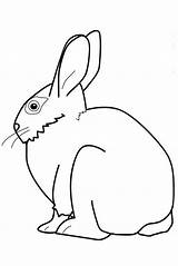 Coloring Pages Bunny Rabbit Lop Printable Farm Animal sketch template