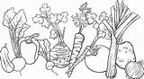 Gambar Mewarnai Sayuran sketch template