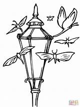Coloring Lantern Pages Chinese Moth Lanterns Moths Camping Cecropia Printable Color Geometry Sacred Template Drawing Getcolorings Supercoloring Coloringbay Getdrawings Templates sketch template