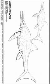 Ichthyosaurus Coloring Colouring Template sketch template