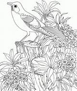 Coloring Birds Coloriage Difficile Pages Color Kids Print Dessin Children Imprimer Colorier Magique Printable 4eme sketch template