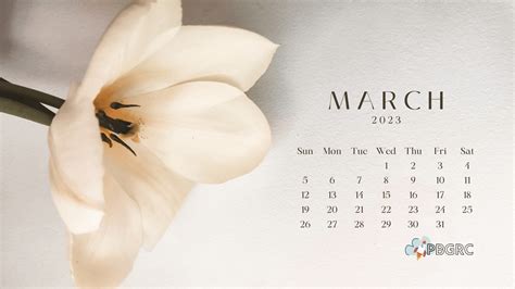 cute march  calendar floral wallpaper hd   calendar