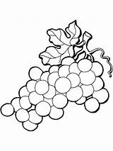 Coloring Grape Grapes Pages Vine Ape Vines California Mission Printable Leaves Color Fruit Getdrawings Fruits Drawing Getcolorings Colouring Recommended Cornstalk sketch template