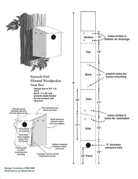 easy  step  step screech owl house plans ive       making
