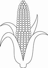 Jagung Cob Maize Sketsa Stalk Colorear Milho Mewarnai Putih Manis Pngwing Bunga Maiz Maíz Rebus Macam Sudut Bermacam W7 Otoño sketch template