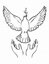 Coloring Peace Dove Printable Popular sketch template