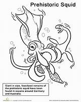 Prehistoric Squid Designlooter sketch template