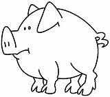Cochon Porc Puerco Cochons Colorear Pencil Coloriages Imprimé sketch template