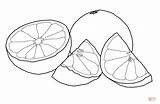 Grapefruit Drawing Coloring Pages Printable Colouring Drawings Color للتلوين Fruits Frutas Citrus Kids Riscos sketch template
