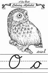Owl Alphabet Coloring Janbrett Cursive Modern Click Jan Subscription Downloads Traditional Students Come Resources First sketch template
