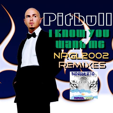 pitbull i know you want me nrgl2002 remixes