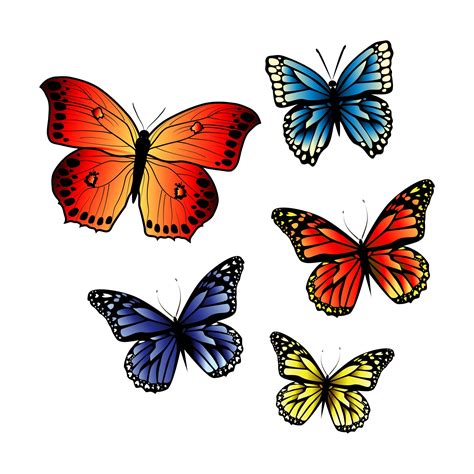 images  printable butterflies patterns stained glass